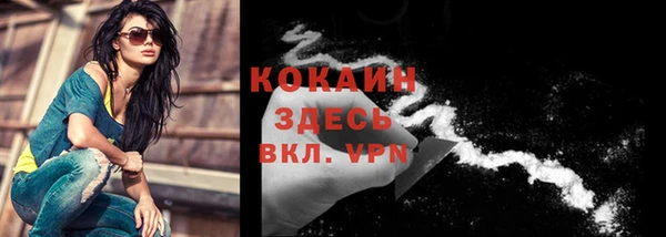 сатива Волоколамск