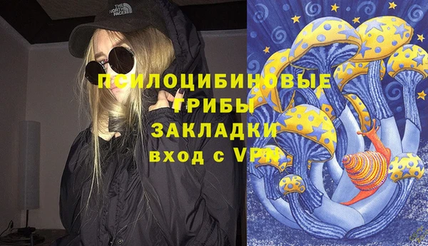спиды Володарск