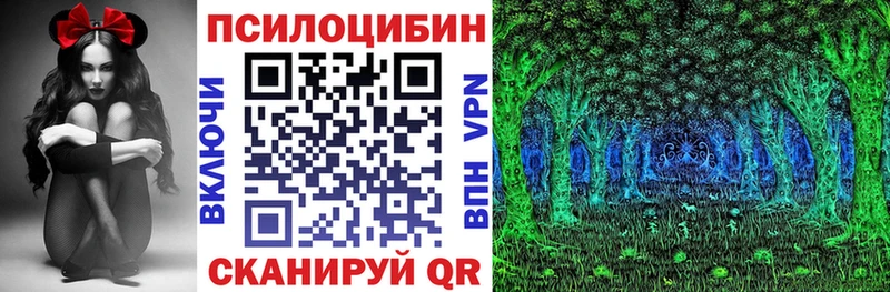 Купить где  Горячий Ключ  Псилоцибиновые грибы Cubensis 